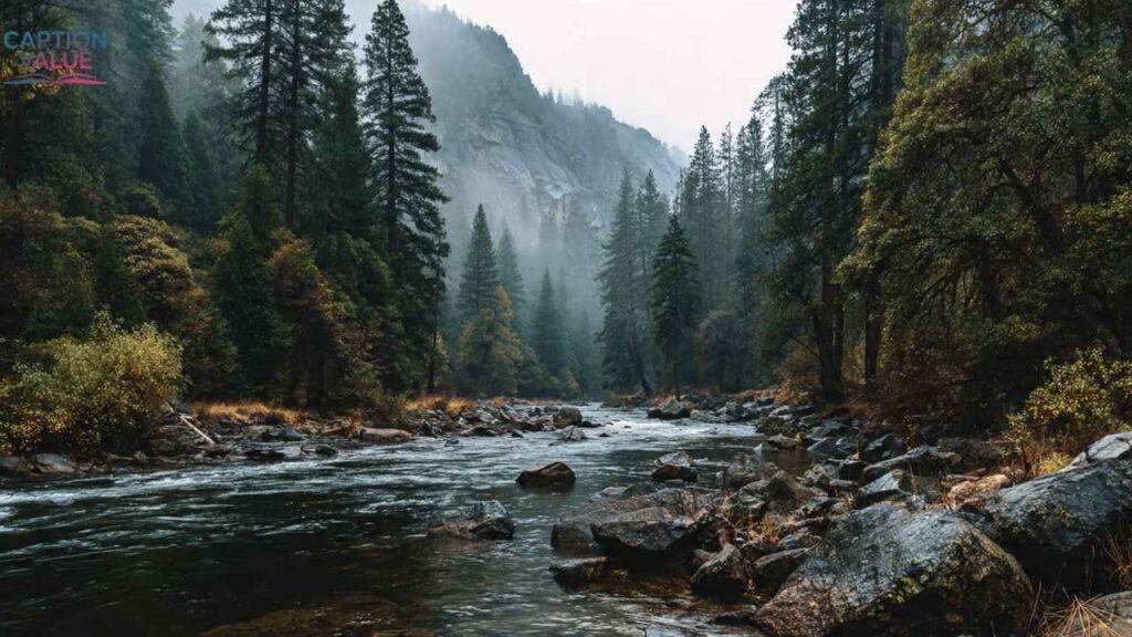 Beautiful View Captions for Instagram