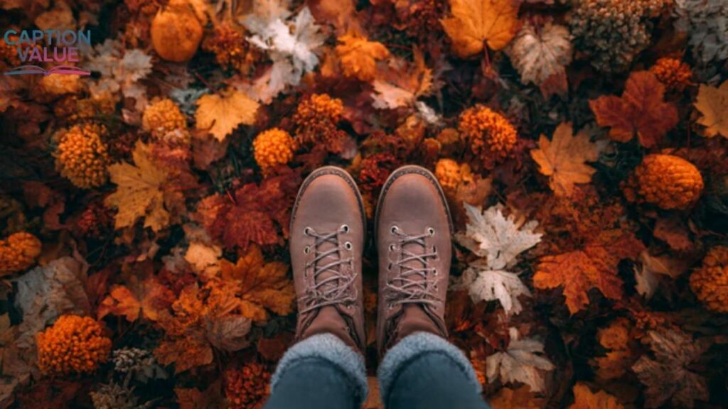 Clever Fall Puns Instagram Captions