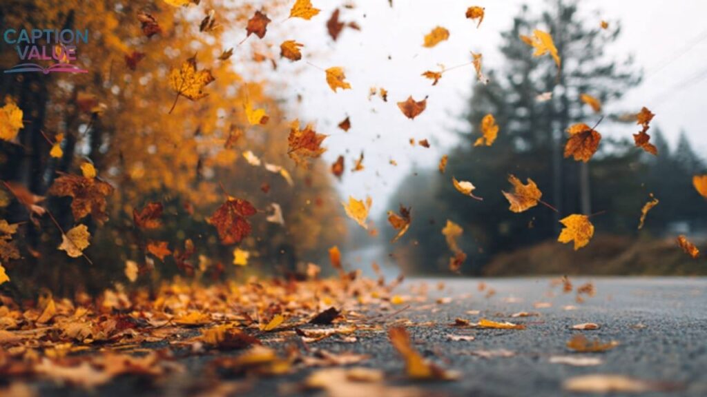 October Instagram Captions